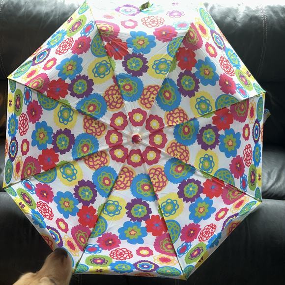 Flowers Cynthia Raleigh fold up umbrella - Picture 6 of 9